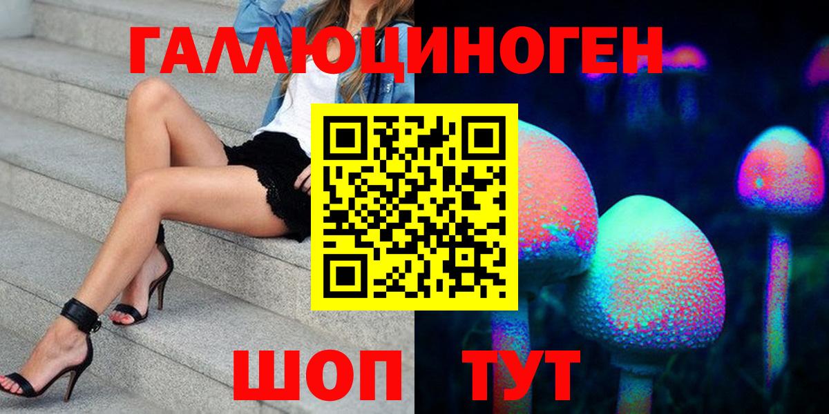 Кириши  Псилоцибиновые грибы Psilocybine cubensis  Вход с VPN 